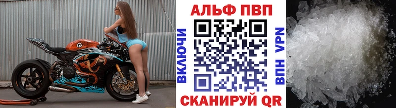 Альфа ПВП СК Шлиссельбург