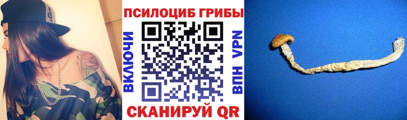 shop телеграм  Шлиссельбург  Галлюциногенные грибы MAGIC MUSHROOMS  закладка  мега  